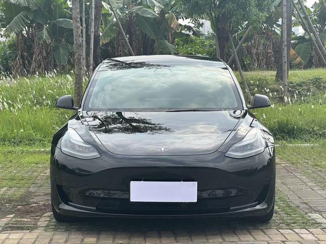 Tesla Model 3 2020 Standard Range RWD Upgraded – фото 2