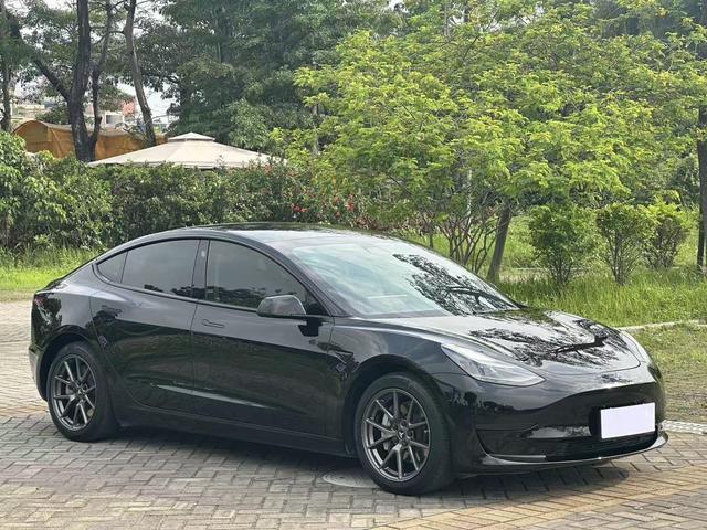 Tesla Model 3 2020 Standard Range RWD Upgraded – фото 3