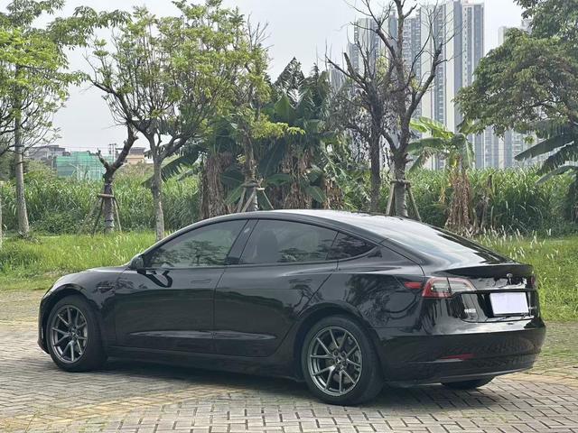 Tesla Model 3 2020 Standard Range RWD Upgraded – фото 9