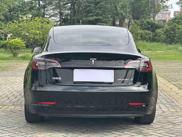 Tesla Model 3 2020 Standard Range RWD Upgraded – фото 10