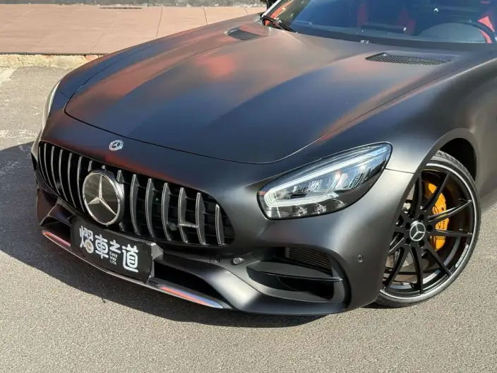 AMG GT 2019 Model AMG GT – фото 3