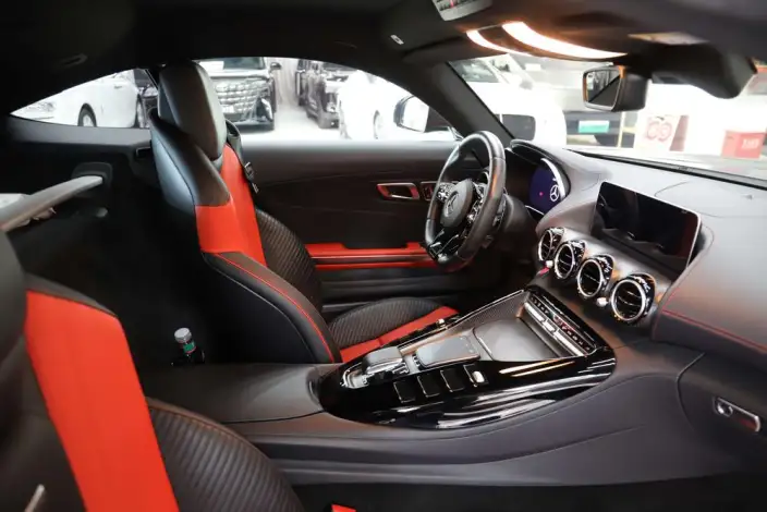 AMG GT 2019 Model AMG GT – фото 10