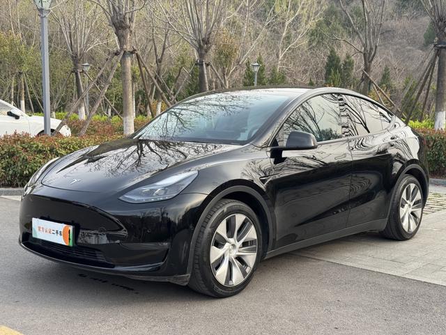 Tesla Model Y 2021 Standard Range RWD – фото 1