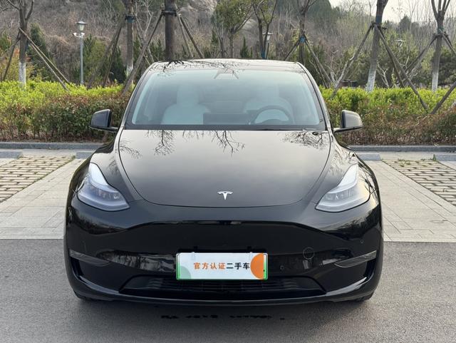 Tesla Model Y 2021 Standard Range RWD – фото 2
