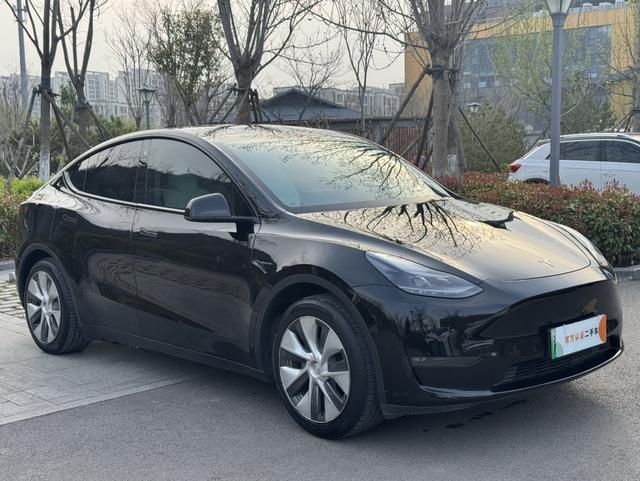 Tesla Model Y 2021 Standard Range RWD – фото 3