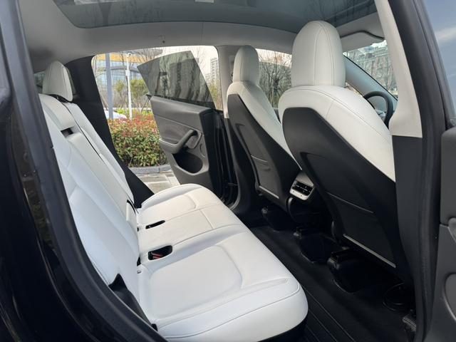 Tesla Model Y 2021 Standard Range RWD – фото 14