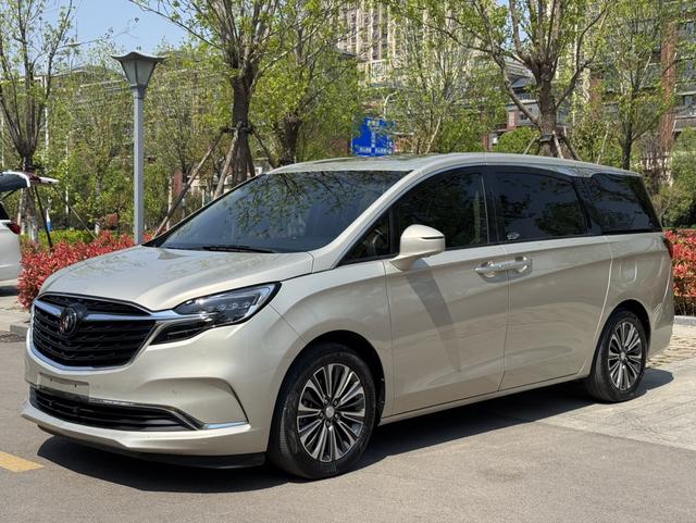 Buick GL8 2021 ES Land Premium 653T Luxury – фото 1