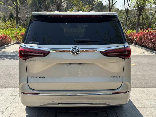 Buick GL8 2021 ES Land Premium 653T Luxury – фото 5