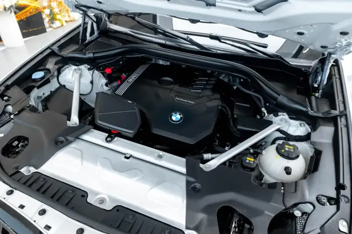 BMW X3 2022 Model Facelift xDrive30i Leading Model M Night Set – фото 9