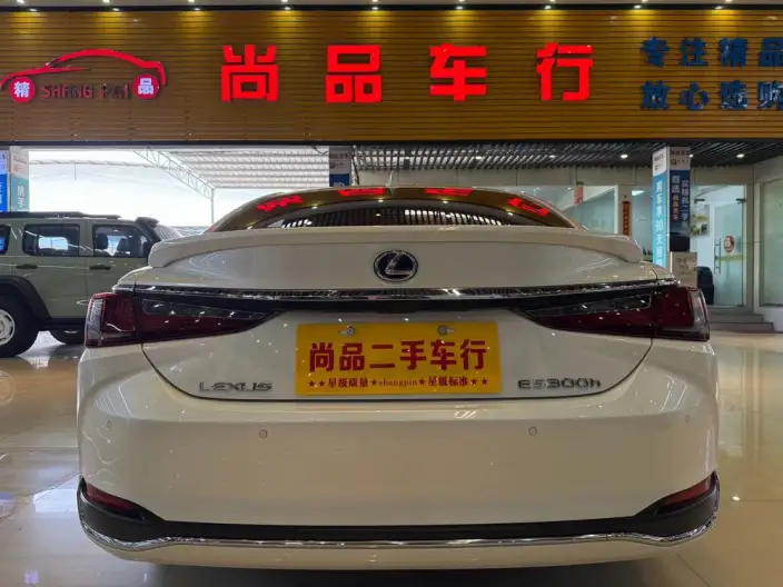 Lexus ES 2021 Model 300h Superior Edition – фото 8