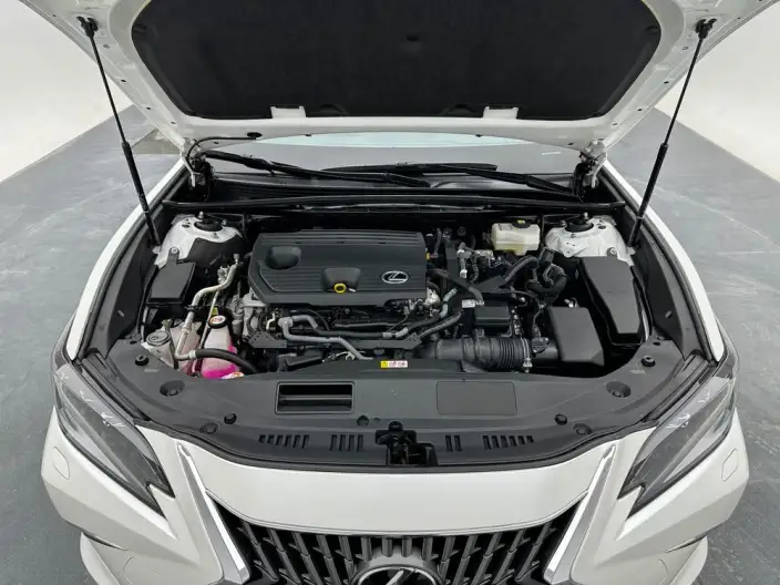 Lexus ES 2022 Model 300h Premium – фото 10