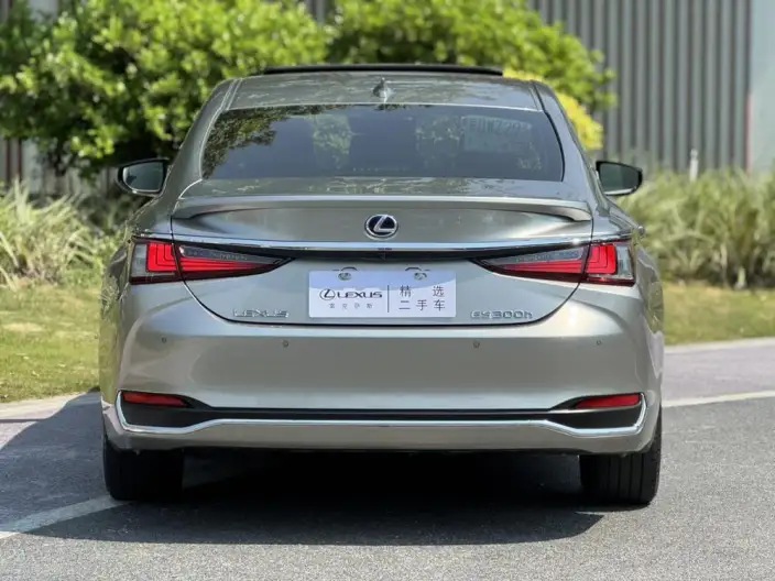 Lexus ES 2021 Model 300h Premium – фото 5