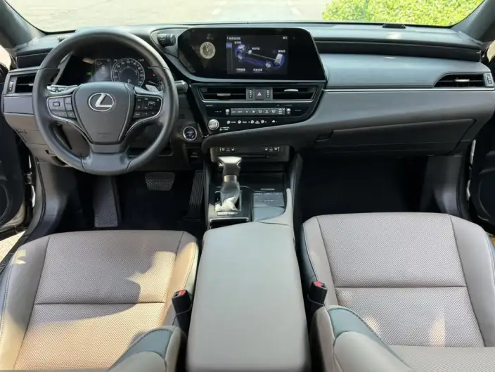 Lexus ES 2021 Model 300h Premium – фото 9