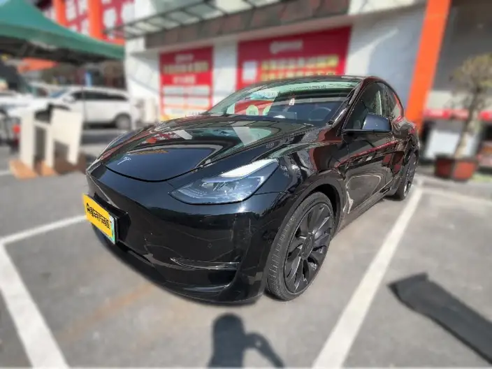 Model Y 2022 Model Performance High performance All-wheel drive version – фото 1