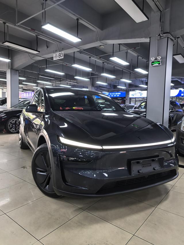 Model Y 2026 модификация Rear-wheel drive version – фото 4