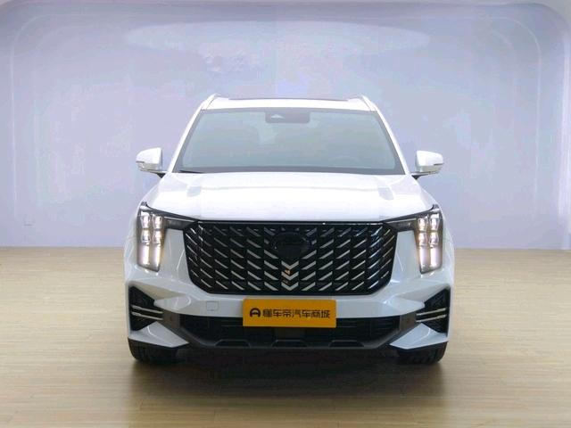 GAC Trumpchi GS8 2025 модификация Pilot Series Lie 2.0TGDI 2WD 5 seat Deluxe Edition – фото 2