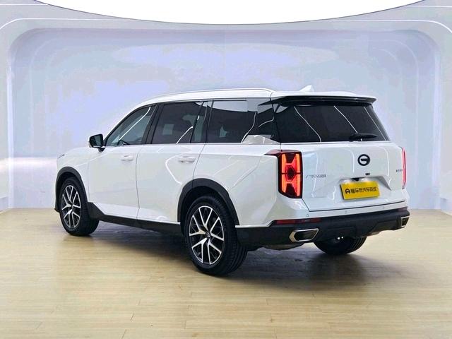 GAC Trumpchi GS8 2025 модификация Pilot Series Lie 2.0TGDI 2WD 5 seat Deluxe Edition – фото 5