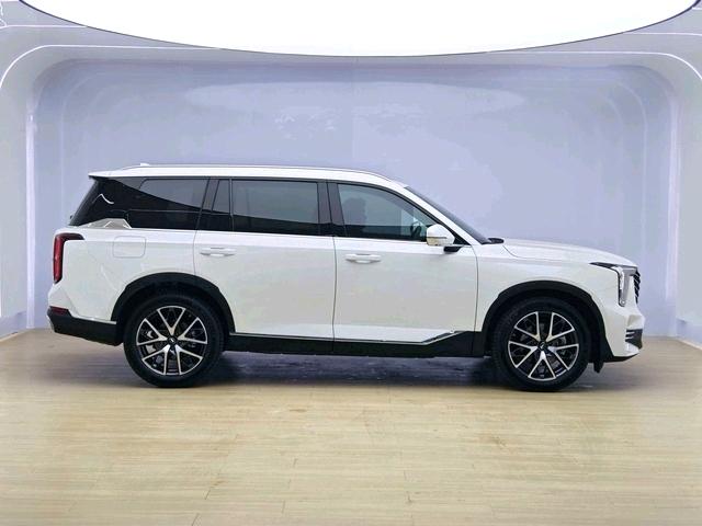 GAC Trumpchi GS8 2025 модификация Pilot Series Lie 2.0TGDI 2WD 5 seat Deluxe Edition – фото 8