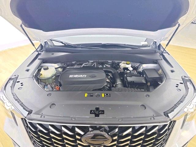 GAC Trumpchi GS8 2025 модификация Pilot Series Lie 2.0TGDI 2WD 5 seat Deluxe Edition – фото 17