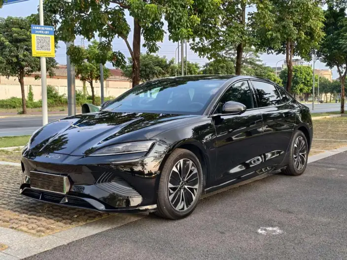BYD Seal 2022 Model 550KM Standard Battery Life Rear Drive Edition Elite Model – фото 1