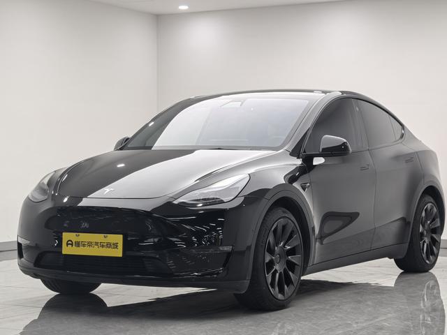 Tesla Model Y 2021 Long Range AWD – фото 1