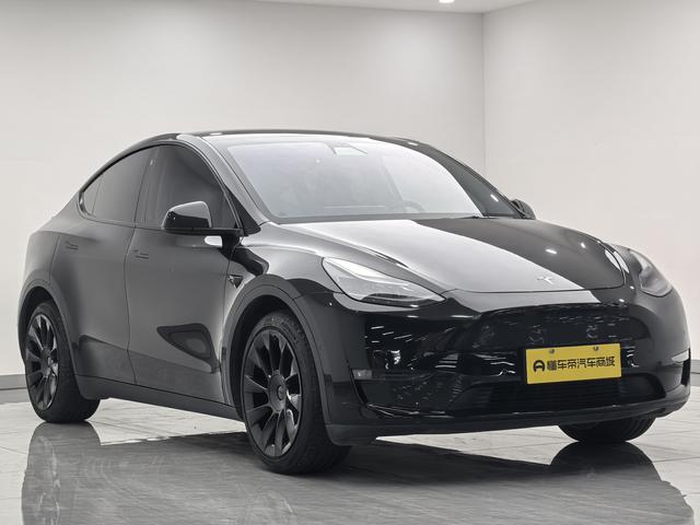 Tesla Model Y 2021 Long Range AWD – фото 3