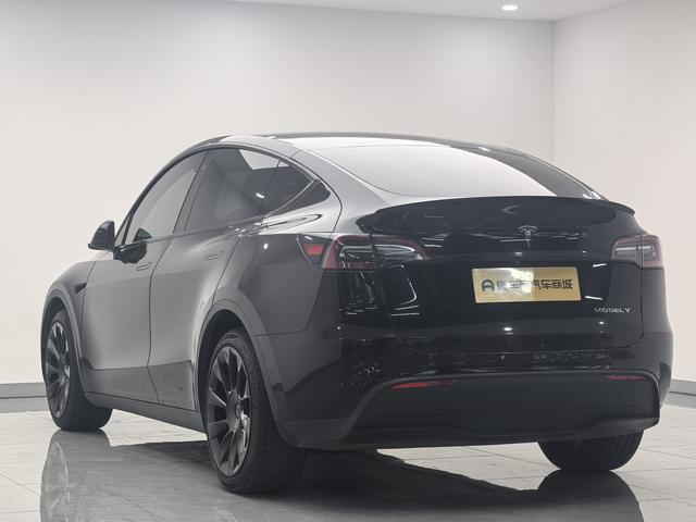 Tesla Model Y 2021 Long Range AWD – фото 5