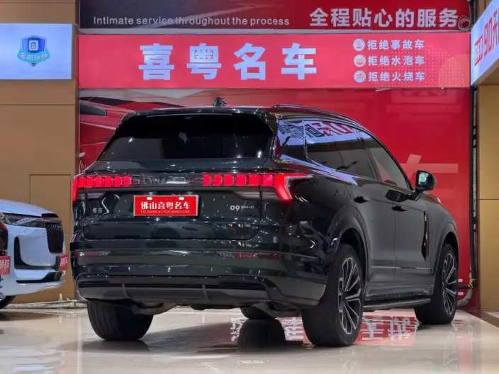 Lynk & Co 09 EM-P 2024 Model EM-P 2.0TD VI seat ULTRA