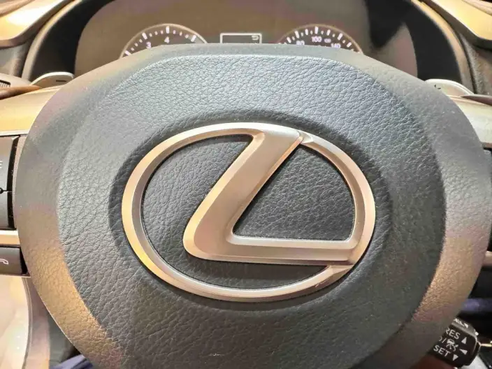 Lexus RX 2020 Model Facelift 300 4WD Elegant Edition – фото 9