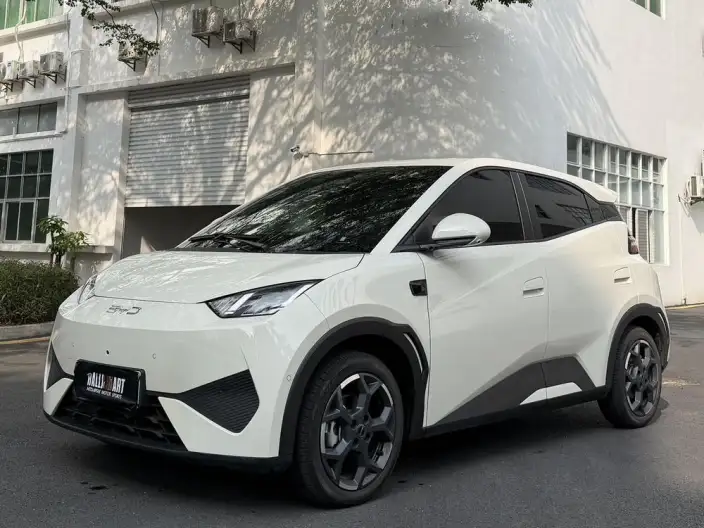 BYD Seagull 2025 Model Smart Driving Edition 305KM Free Edition – фото 1