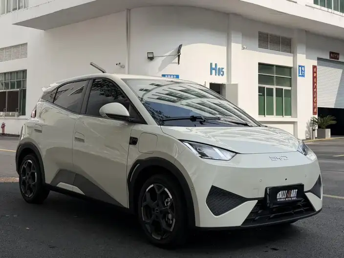 BYD Seagull 2025 Model Smart Driving Edition 305KM Free Edition – фото 3