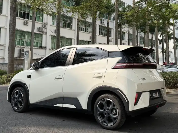 BYD Seagull 2025 Model Smart Driving Edition 305KM Free Edition – фото 5