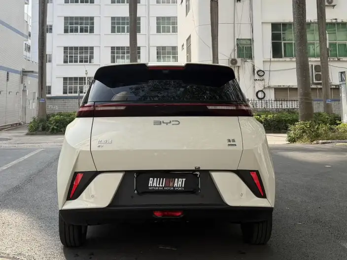 BYD Seagull 2025 Model Smart Driving Edition 305KM Free Edition – фото 6