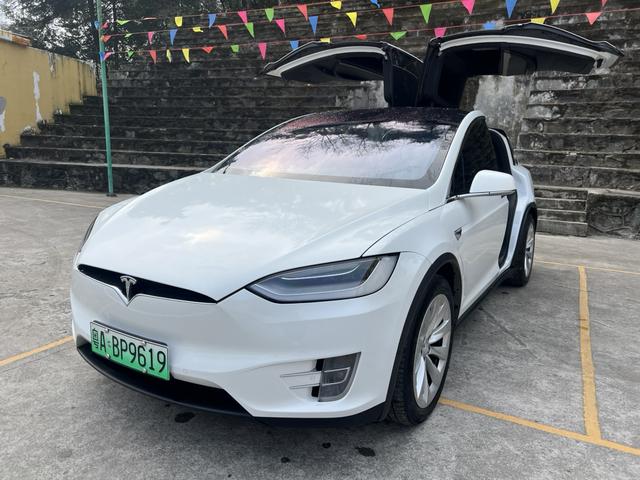 Tesla Model X 2019 Long Range