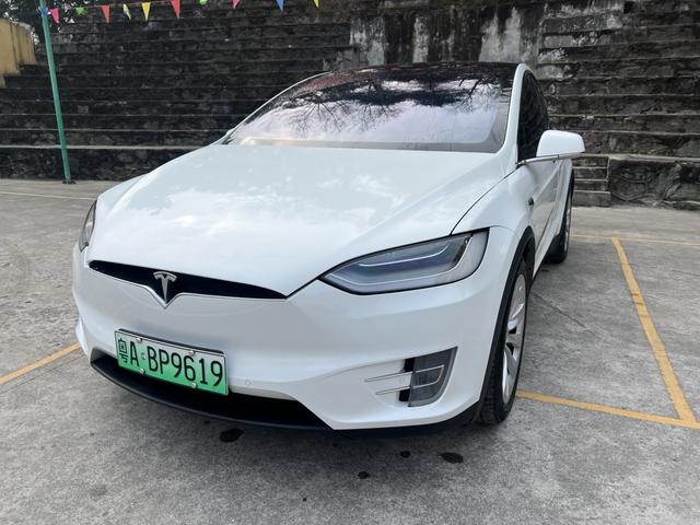 Tesla Model X 2019 Long Range – фото 2