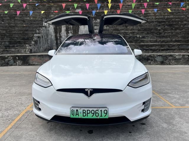 Tesla Model X 2019 Long Range – фото 3