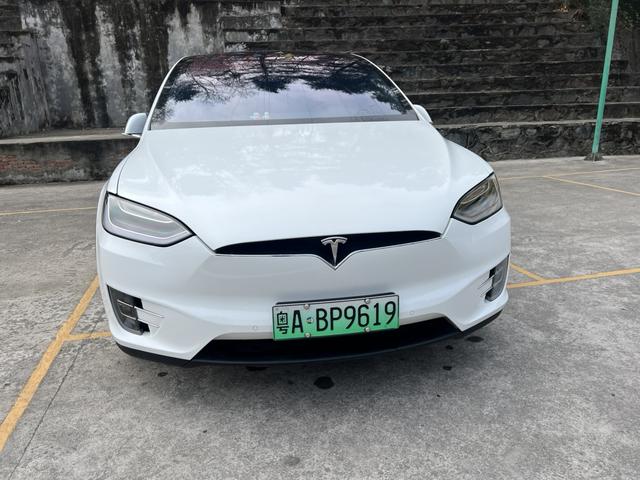 Tesla Model X 2019 Long Range – фото 4