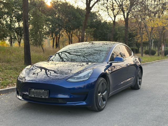 Tesla Model 3 Imported 2019 Standard Range RWD Upgrade – фото 1