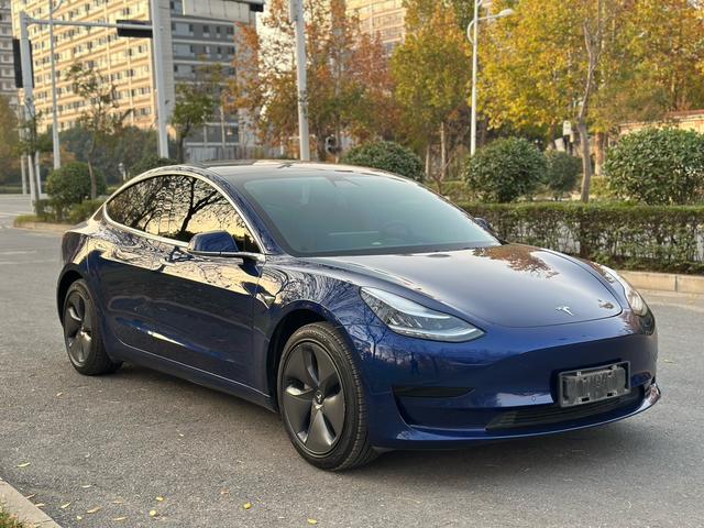 Tesla Model 3 Imported 2019 Standard Range RWD Upgrade – фото 2
