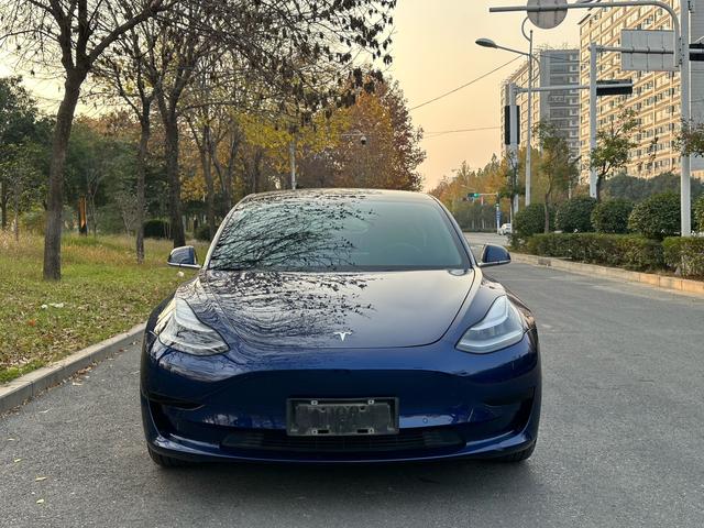 Tesla Model 3 Imported 2019 Standard Range RWD Upgrade – фото 3