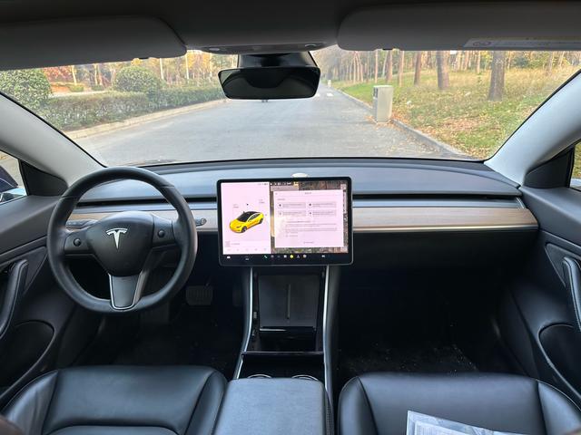 Tesla Model 3 Imported 2019 Standard Range RWD Upgrade – фото 4