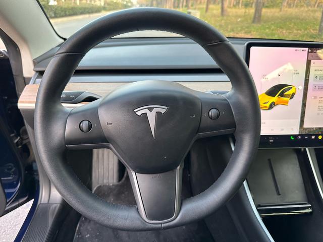 Tesla Model 3 Imported 2019 Standard Range RWD Upgrade – фото 7