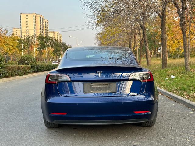 Tesla Model 3 Imported 2019 Standard Range RWD Upgrade – фото 9