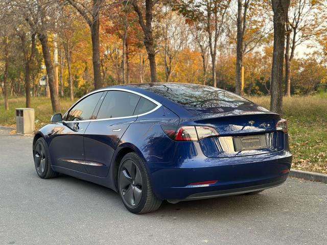 Tesla Model 3 Imported 2019 Standard Range RWD Upgrade – фото 10