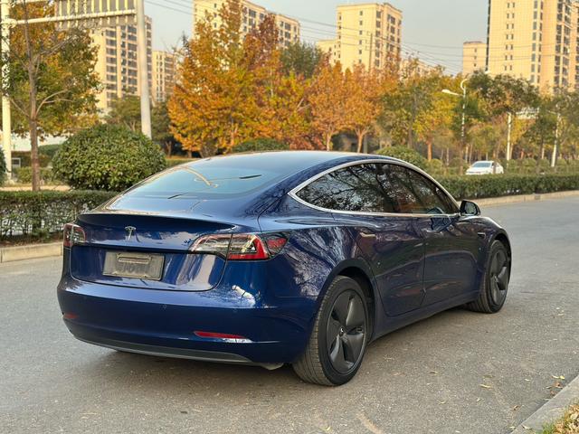 Tesla Model 3 Imported 2019 Standard Range RWD Upgrade – фото 11