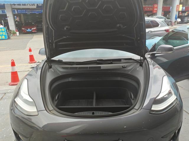 Tesla Model 3 2020 Facelift Standard Range RWD Upgrade – фото 11