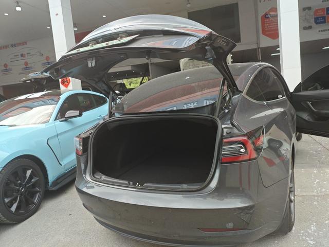 Tesla Model 3 2020 Facelift Standard Range RWD Upgrade – фото 13