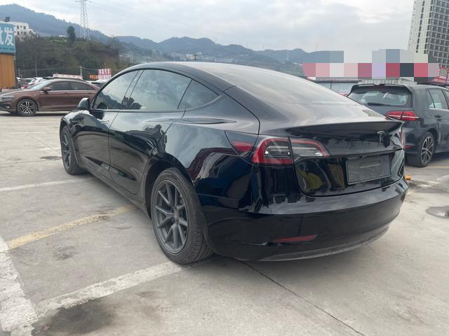 Tesla Model 3 2021 Standard Range RWD Upgraded 3D1 – фото 8