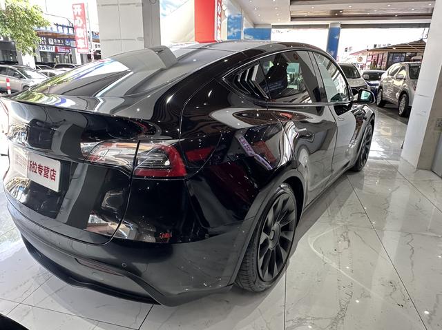 Tesla Model Y 2021 Long Range AWD – фото 3