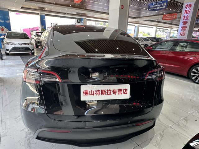 Tesla Model Y 2021 Long Range AWD – фото 4